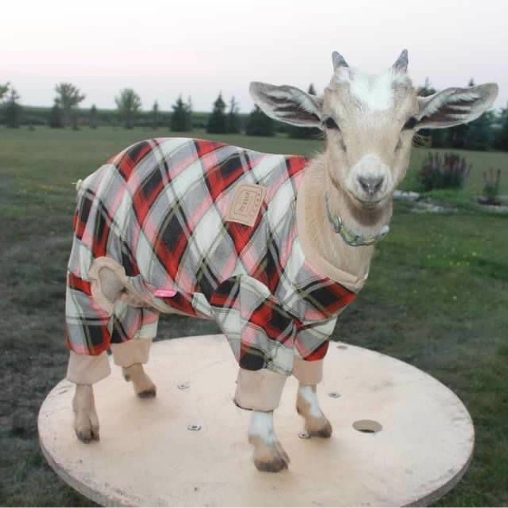 KYESE Plaid Flannel Shirt